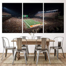 University of Texas Longhorns Football Team Print – Darrell