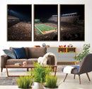 University of Texas Longhorns Football Team Print – Darrell