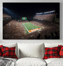 University of Texas Longhorns Football Team Print – Darrell