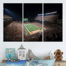 University of Texas Longhorns Football Team Print – Darrell