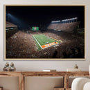 University of Texas Longhorns Football Team Print – Darrell