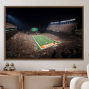 University of Texas Longhorns Football Team Print – Darrell