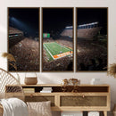 University of Texas Longhorns Football Team Print – Darrell