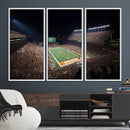 University of Texas Longhorns Football Team Print – Darrell