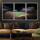 University of Texas Longhorns Football Team Print – Darrell