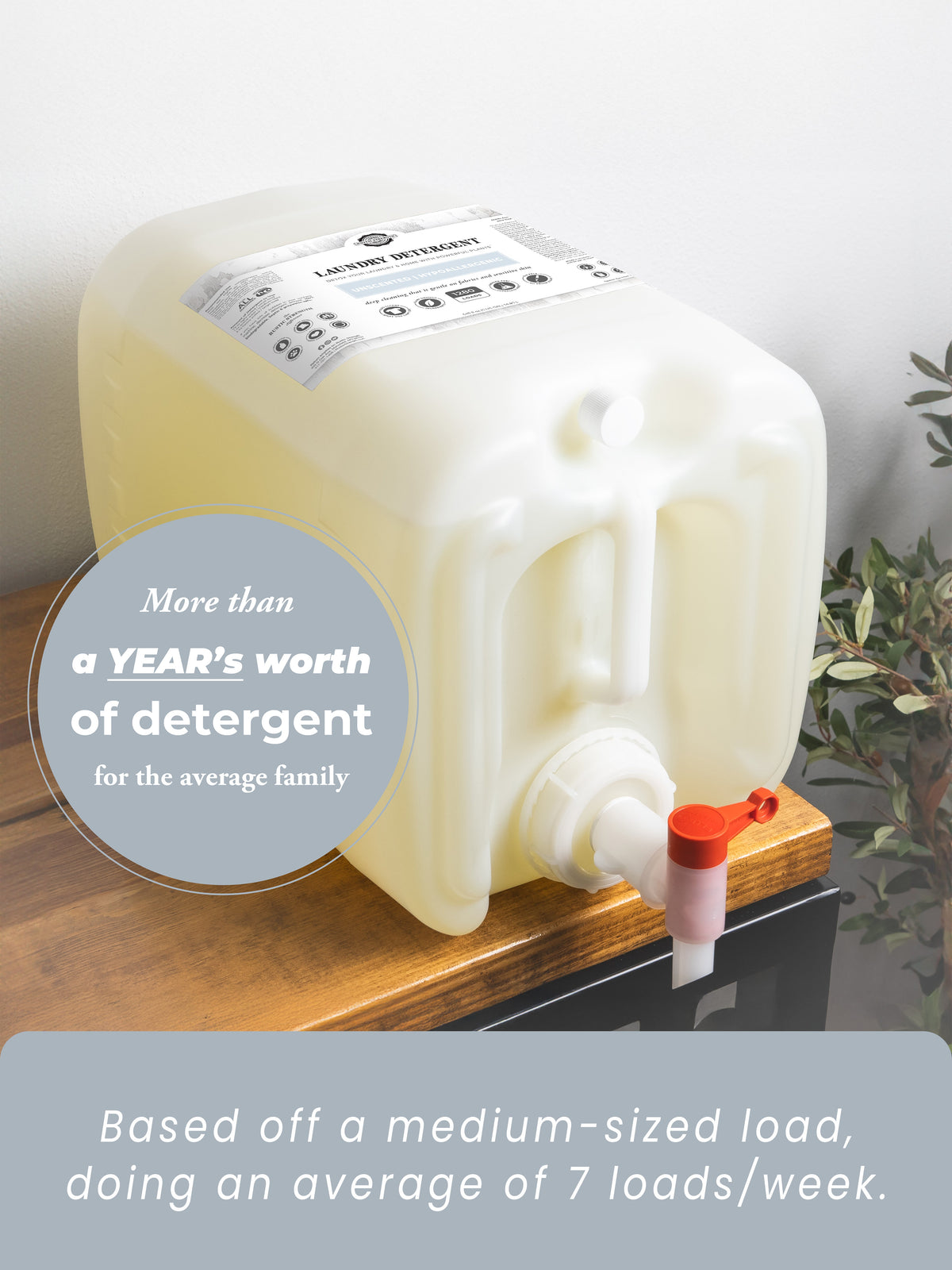 Laundry Detergent | Unscented, photo 15 of 25