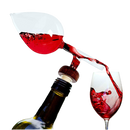 Italian Wine Aerator Decanter, Red & White In Bottle Aerators
