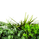 Sample Panel – Wild Tropics Vertical Garden (Small Sample) by Designer Plants USA
