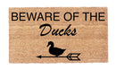 Beware Of The Ducks!