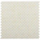 Parchment White 12x12 Glossy Iridescent Penny Round Recycled Glass Mosaic Tile (10 pack, 11.11 sq ft/case)