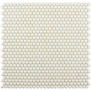 Parchment White 12x12 Glossy Iridescent Penny Round Recycled Glass Mosaic Tile (10 pack, 11.11 sq ft/case) - Sample