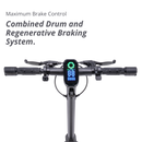 VX2 PRO - VMAX Electric Scooter
