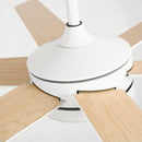 60" Volga DC Motor 6 Blades Modern Downrod Mount Ceiling Fan with Remote Control