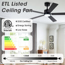 Vaczon 52" DC Motor Ceiling Fan with LED Lighting and Remote Control