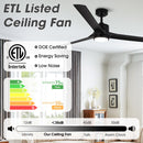 Vaczon 60" Industrial Fan with LED Lighting and Remote Control