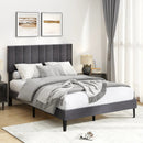 Velvet Upholstered Platform Bed with Height Adjustable Vertical Channel Headboard by LJGDeals