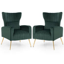 Velvet Upholstered Wingback Chair with Lumbar Pillow and Golden Metal Legs by LJGDeals