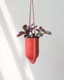 Portico Planter