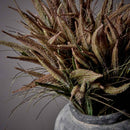 Faux Veronica Bunch Dusk