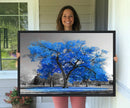 Vibrant Blue Tree Canvas Art – Triptych Nature Print – Color