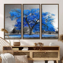 Vibrant Blue Tree Canvas Art – Triptych Nature Print – Color