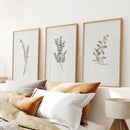 Vintage Floral 3 Piece Wall Art. Rustic Botanical Posters by Wall Art Set