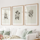 Antique Floral Prints 3 Piece Wall Art Decor by Wall Art Set
