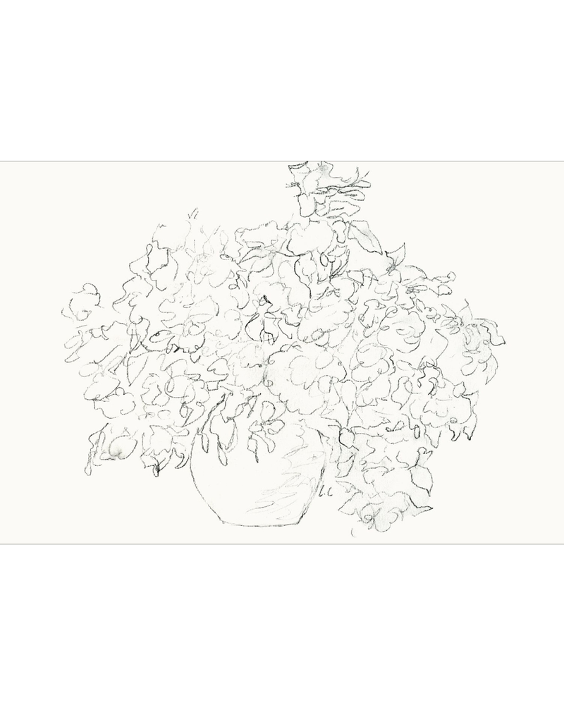Vase of Flowers Sketch
