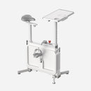 W1B 3 IN 1 Foldable Exercise Bike, Under Desk Bike