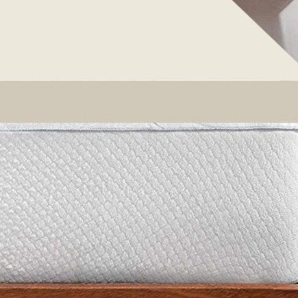 Twin Size 2 Inch Thick Plush High Density Foam Mattress Topper - Medium Firm, photo 3 of 5