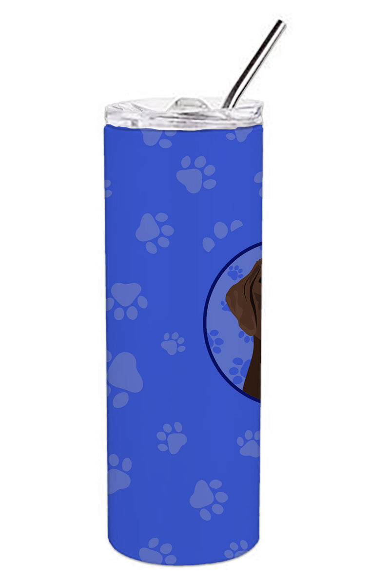 Labrador Retriever Chocolate