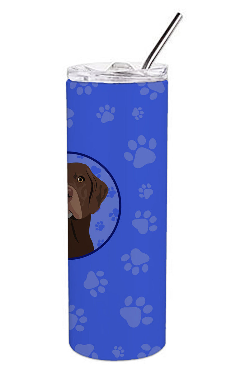 Labrador Retriever Chocolate