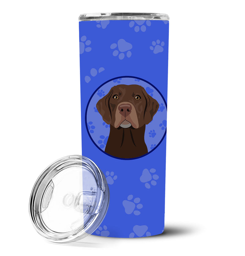 Labrador Retriever Chocolate