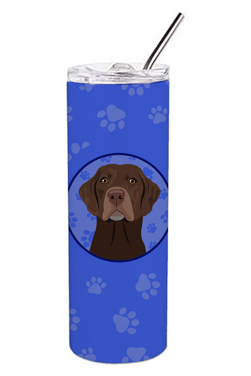 Labrador Retriever Chocolate
