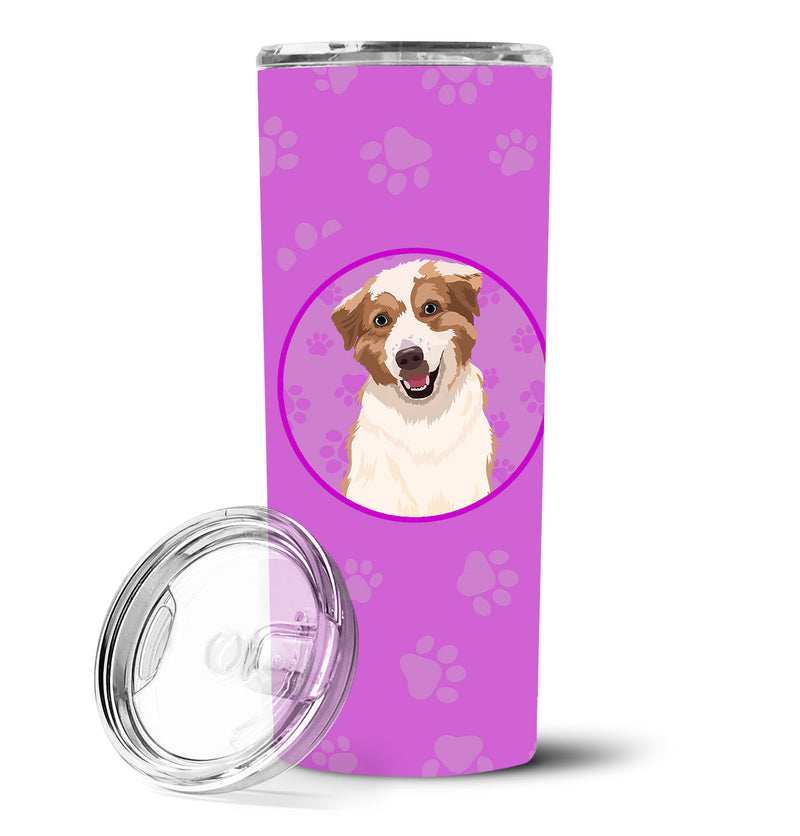 Australian Shepherd Red and White