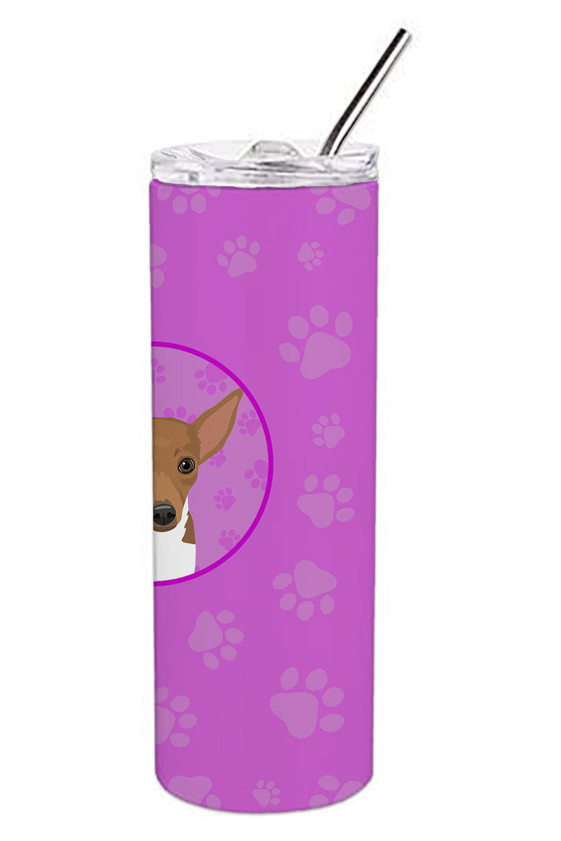 Chihuahua Chocolate and White