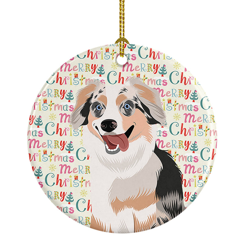 Australian Shepherd Blue Merle Puppy