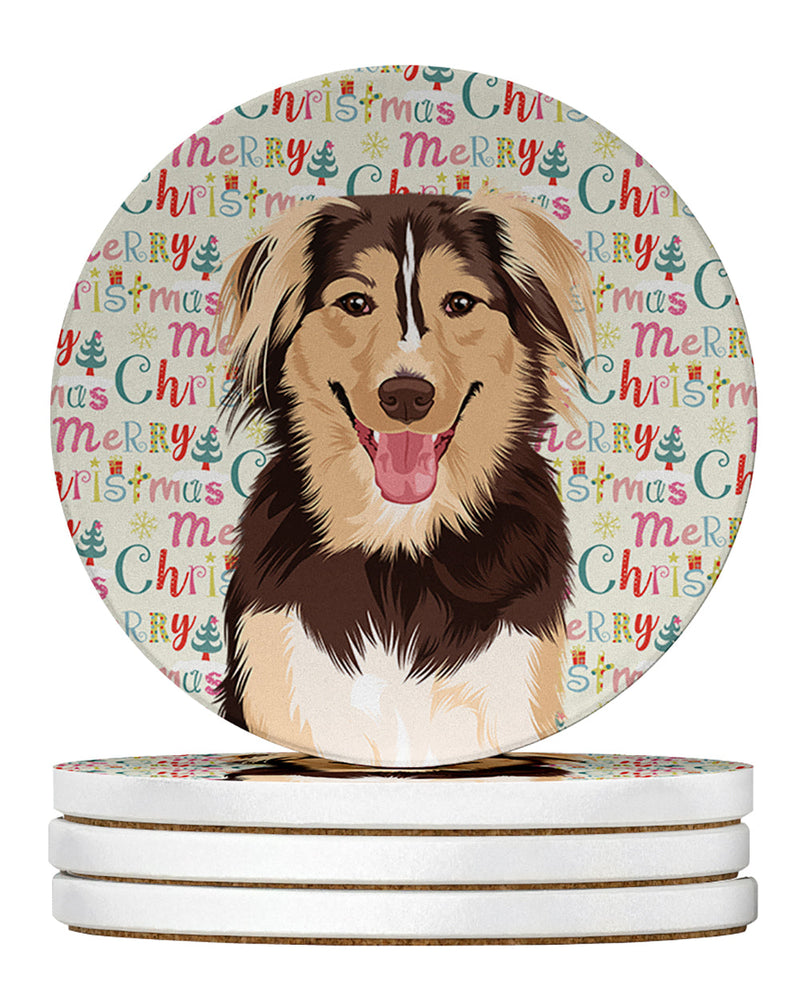 Australian Shepherd Red Tricolor