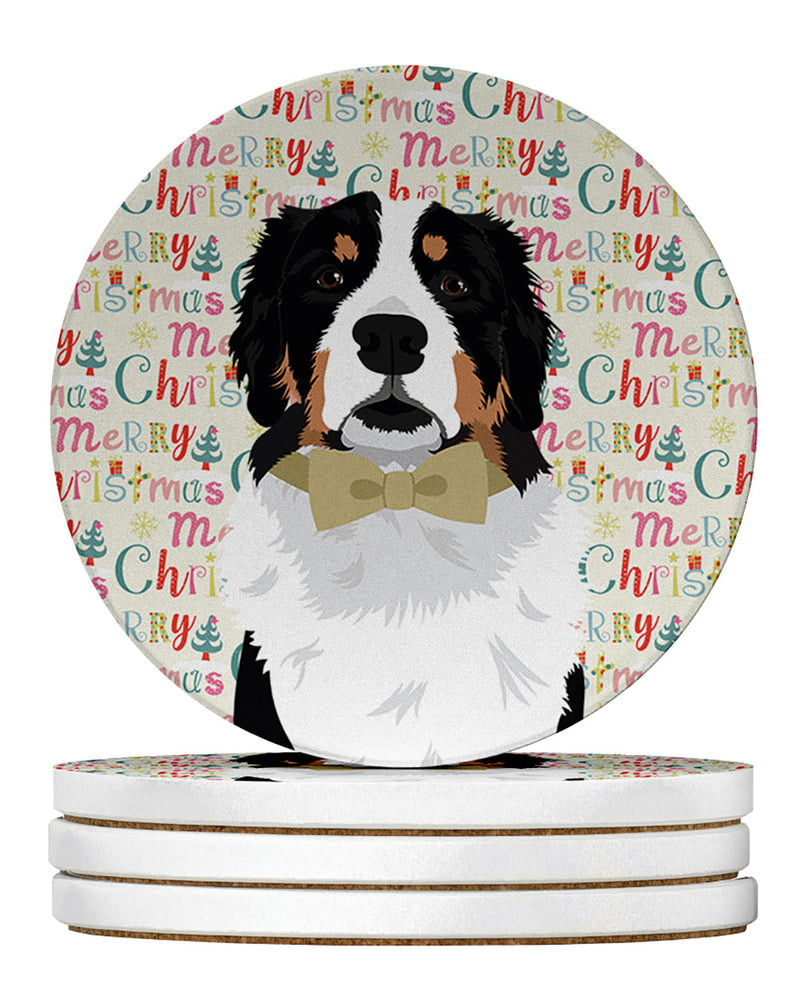 Bernese Mountain Dog