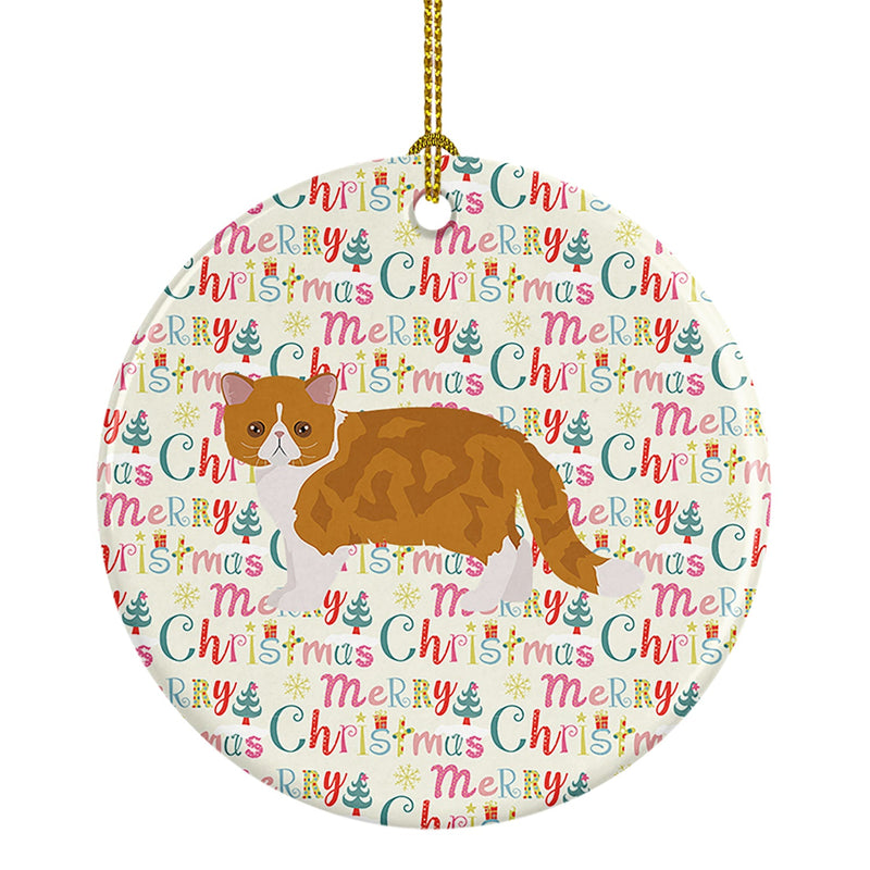 Exotic Shorthair