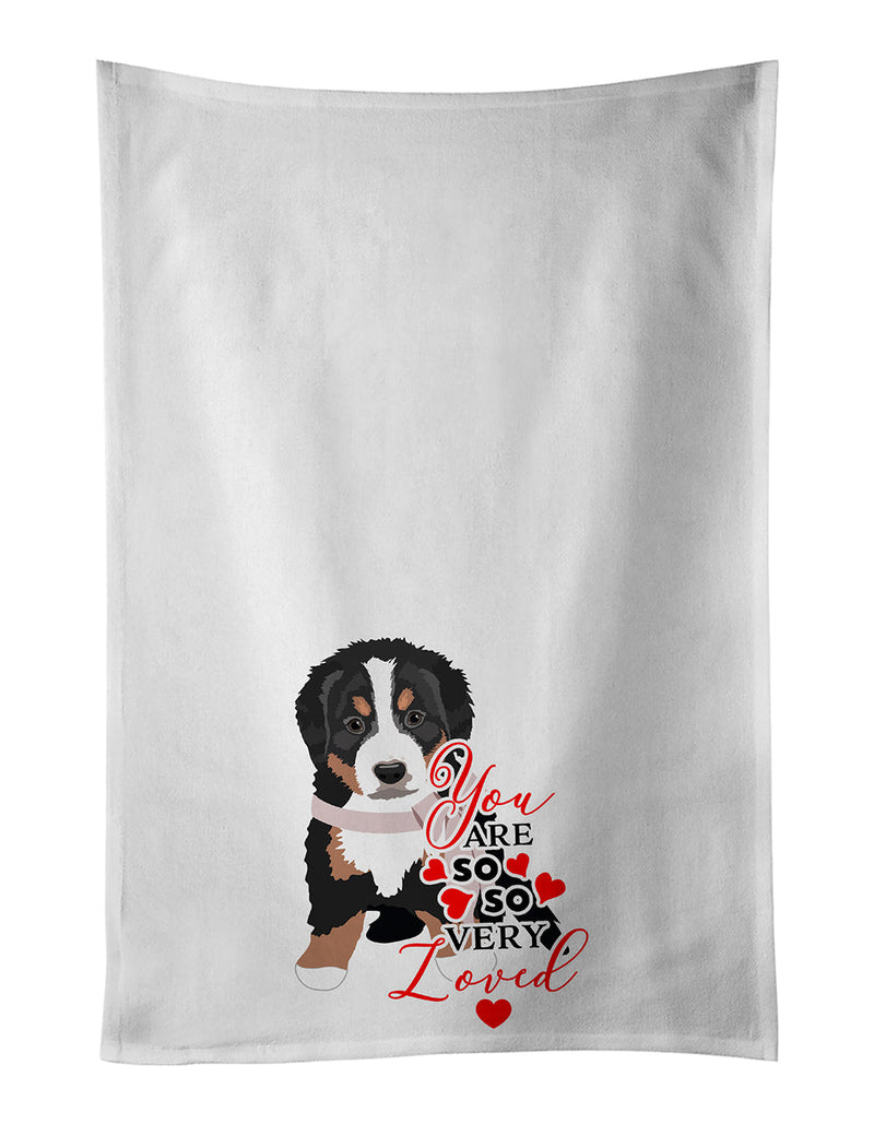 Bernese Mountain Dog Puppy
