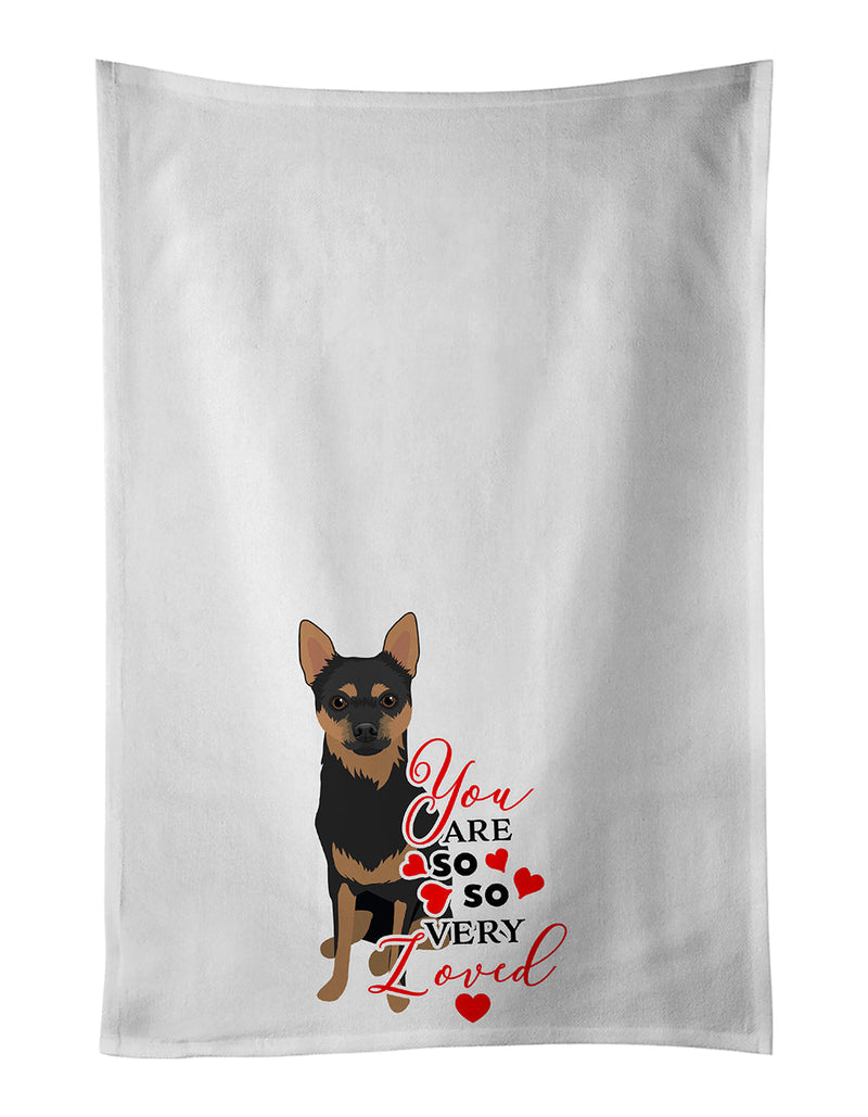 Chihuahua Black and Tan