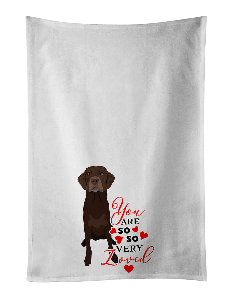 Labrador Retriever Chocolate