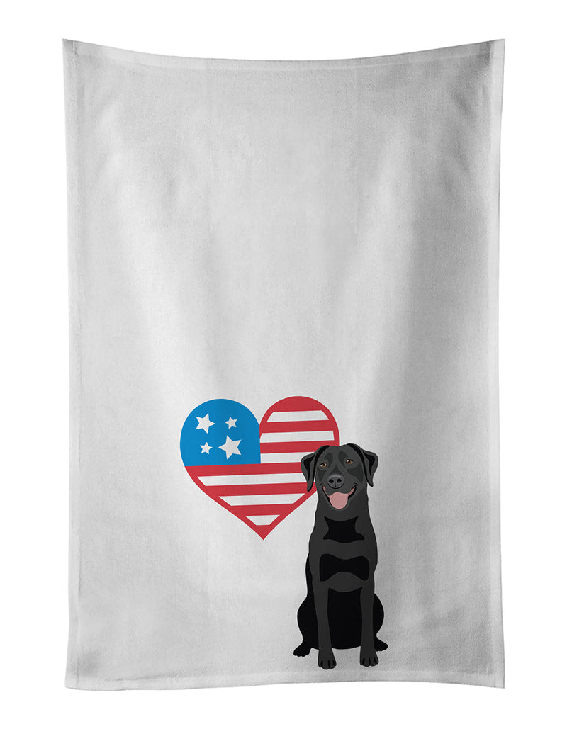 Labrador Retriever Black
