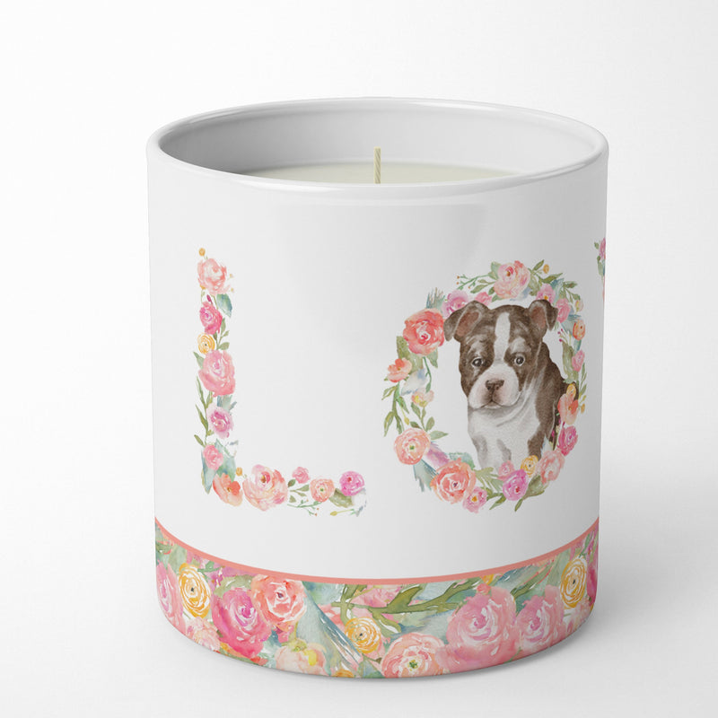 Boston Terrier Puppy