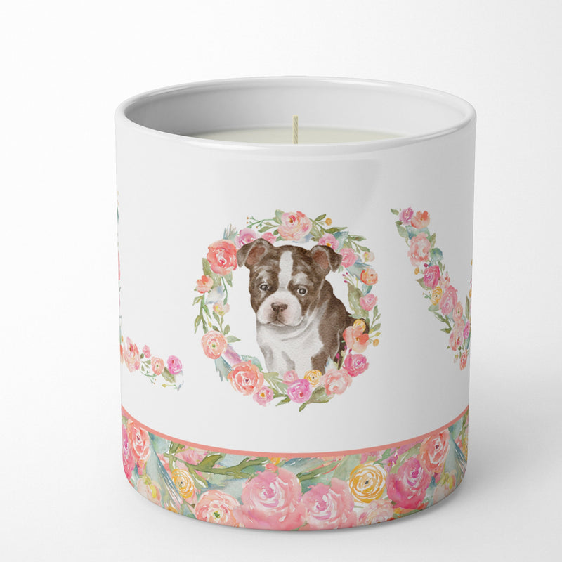 Boston Terrier Puppy