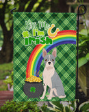 Blue Boston Terrier St. Patrick's Garden Flag – "Kiss Me I’m Irish" with Pot of Gold & Rainbow