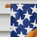 Blenheim Cavalier Spaniel American Flag House Flag