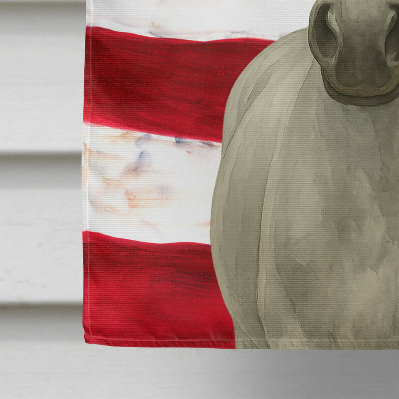 Gray Arabian Horse American House Flag