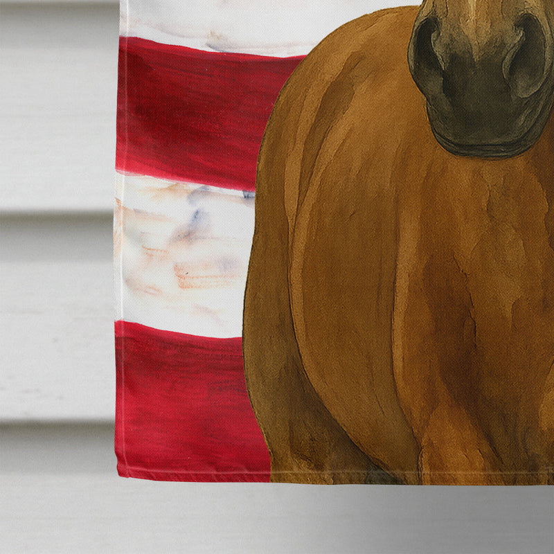 Bay Dutch Warmblood Horse American House Flag